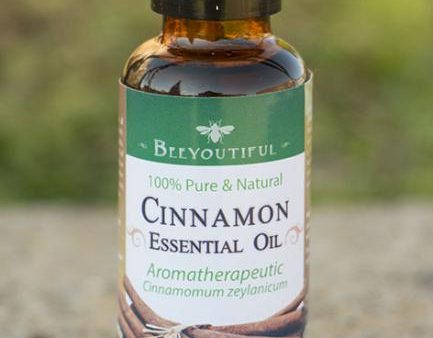 Cinnamon Leaf Essential Oil - 30 ml Cheap