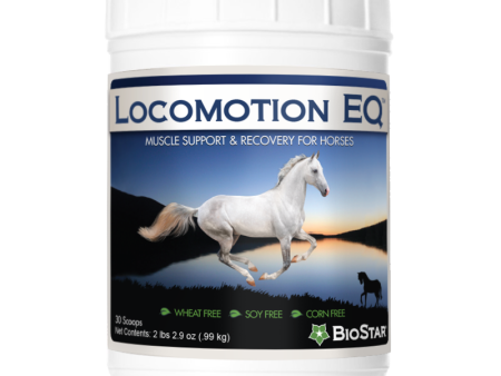 Locomotion EQ For Discount