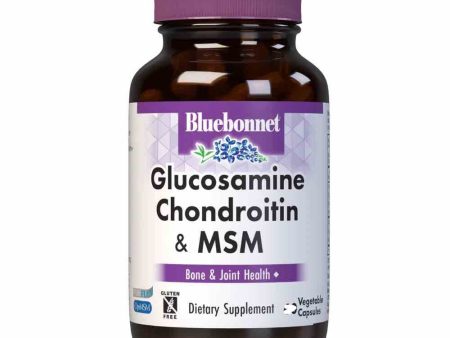 Glucosamine Chondroitin Plus MSM, vcaps Hot on Sale