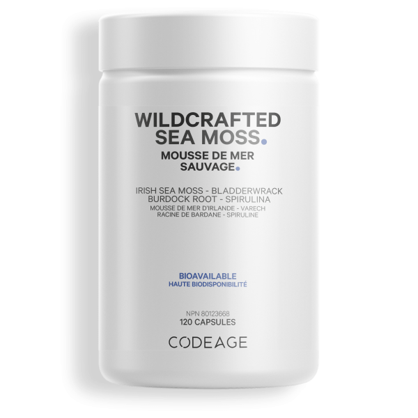 Raw Wildcrafted Sea Moss CA Online Hot Sale