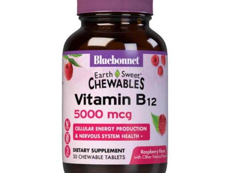 Earthsweet® Chewables Vitamin B12 5000 mcg, tabs For Discount