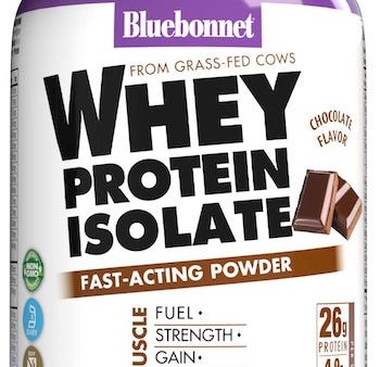 Whey Protein Isolate Powder, Natural Chocolate, oz For Discount