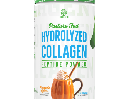 Pumpkin Spice Hydrolyzed Collagen Peptides Online now