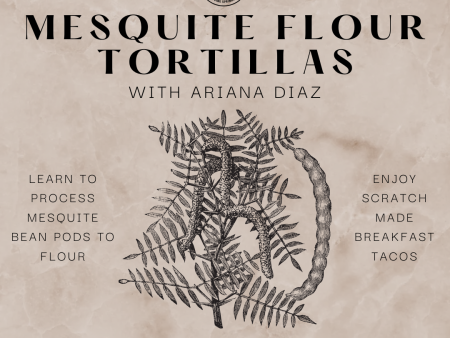 JANUARY 19, 2025: Mesquite Flour Tortillas Cheap