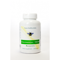 Glucosamine MSM - 120 Vcaps Supply