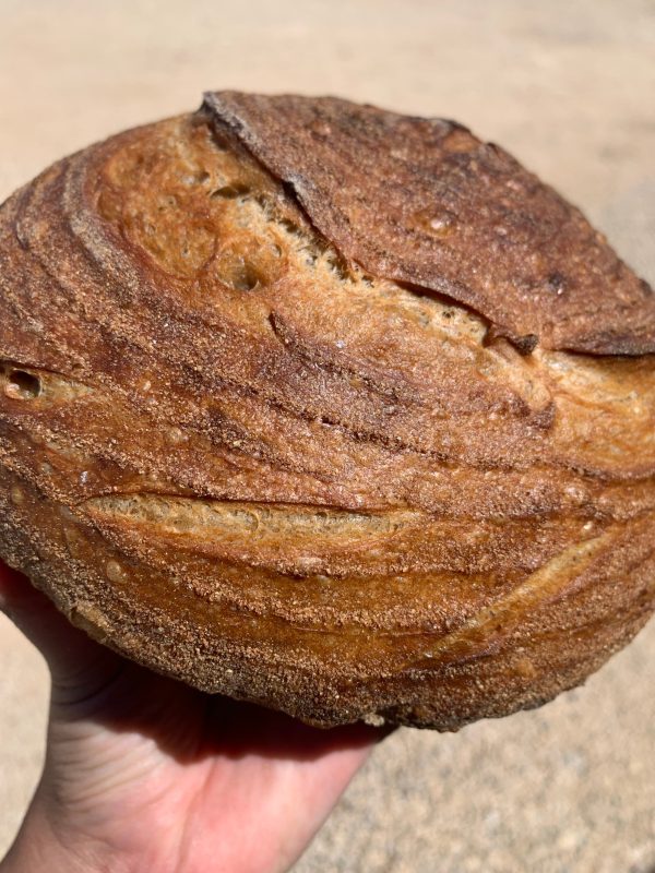 WAITLIST: Intro to Sourdough For Discount