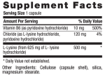 L-LYSINE CAPS 500 MG, 100 CAPS Online