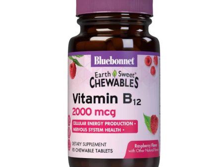 Earthsweet Chewables Vitamin B12 2000 mcg, 90 chew tabs For Cheap