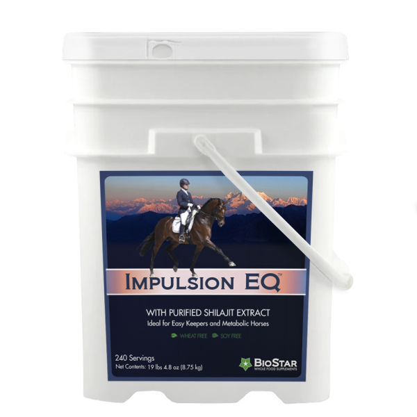 Impulsion EQ Sale