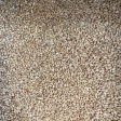 WHEAT GRAIN ORGANIC Online Sale