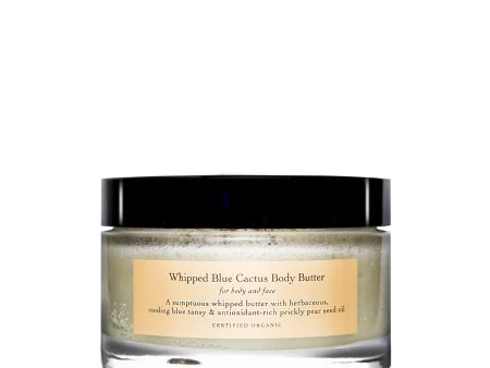 Whipped Blue Cactus Body Butter For Cheap