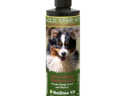 Gold Star K9 Online