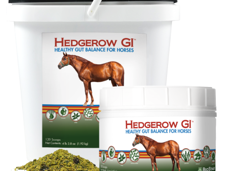 Hedgerow GI For Sale