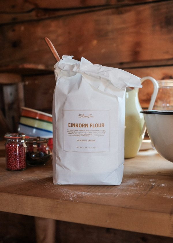 Einkorn Flour Hot on Sale