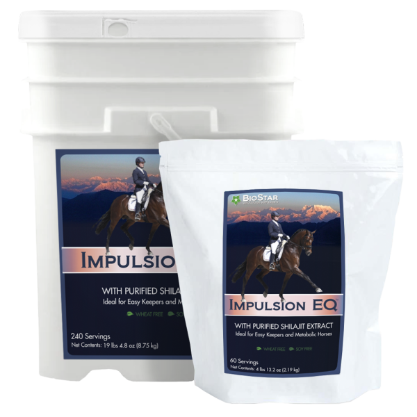 Impulsion EQ Sale