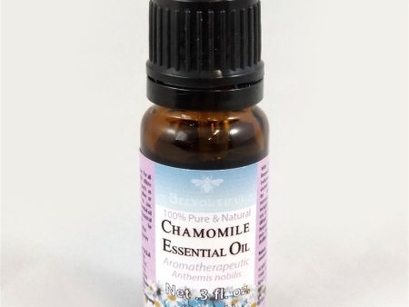 Chamomile Essential Oil Online now