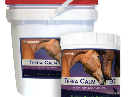 Thera Calm EQ Cheap