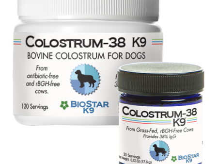 Colostrum-38 K9 For Sale