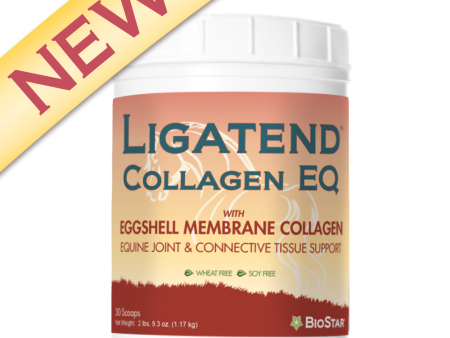 Ligatend Collagen EQ on Sale