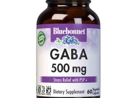 GABA 500 mg, 60 vcap on Sale