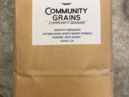 Patwin Hard White Winter Wheat Kernels Sale