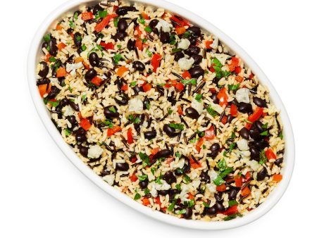 Cilantro Brown Rice + Black Bean Online now